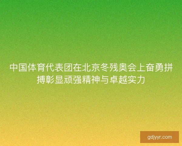 中国体育代表团在北京冬残奥会上奋勇拼搏彰显顽强精神与卓越实力